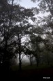 /album/fenykepgaleria/dsc-0106-sz-kodos-jpg/